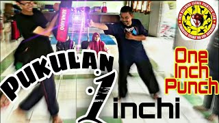 Belajar Pukulan Jeet Kune Do ala Bruce Lee One Inch Punch  Pukulan Satu Inchi [upl. by Hasseman]