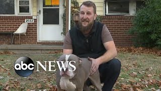 Hero dog saves owner [upl. by Ecirtemed449]