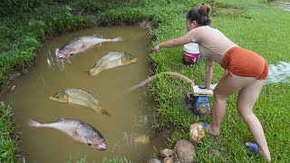 Full video How To Catch Fish In The Wild Unique Fishing Fishing Techniques Catch A Lot Of Fish [upl. by Ear946]