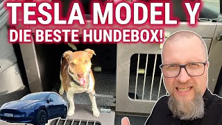 TESLA MODEL Y DIE BESTE HUNDEBOX 🤪🐕 [upl. by Bertold]