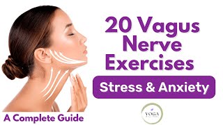 20 Vagus Nerve Exercises for Stress and Anxiety Complete Guide to Help Rewire Brain [upl. by Brendon79]