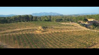 Gramona  Linici dun viatge de la terra al vi [upl. by Ais]