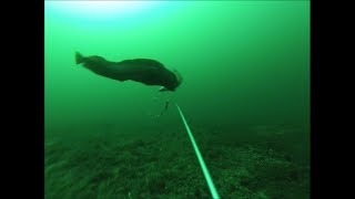 Fishing with GoPro in Norway [upl. by Theodosia]