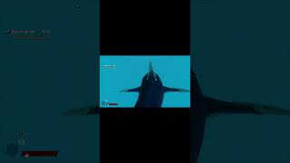 VAYA UNA AREA SECRET OH gaming funny shark games [upl. by Kenon914]