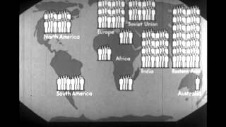 World Of Plenty  Isotype Animation [upl. by Aiclid]