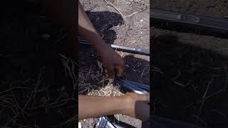 How to tie an end of dripline on a binding wire no leakages [upl. by Nyrok543]