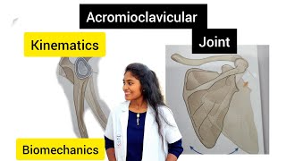 kinematic acromioclavicular joint acromioclavicular joint biomechanics in tamil [upl. by Llenrahc]