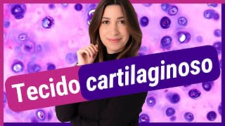 TECIDO CARTILAGINOSO  Histologia [upl. by Eilzel]