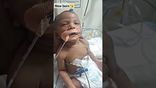 New born baby👶🥰hospital baby viralshort newborn ytshorts viralvideo cuteshortsnicu 🥰song [upl. by Berardo]