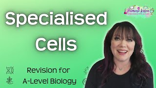 Specialised Cells  Revision for Biology ALevel [upl. by Ofloda214]