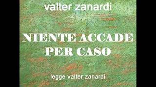 NIENTE ACCADE PER CASO racconto lungo di valter zanardi [upl. by Akinam]