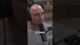 Joey Diaz and Joe Rogan The rise and fall of Connor McGregor joeroganpodcast joeroganexperience [upl. by Euqinwahs270]