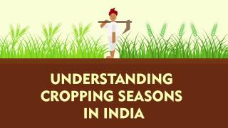 Understanding Cropping Seasons in India  Kharif Rabi Zaid  Factly [upl. by Dusa673]