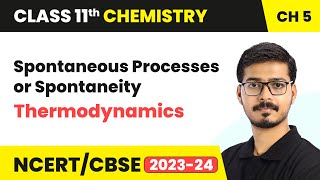 Spontaneous Processes or Spontaneity  Thermodynamics  Class 11 Chemistry Chapter 5 [upl. by Dagny]