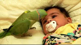 Parrot and kid MashaAllah viral trending motupatlu cutebaby vlog baby cocomelon chunchuntv [upl. by Aimekahs]