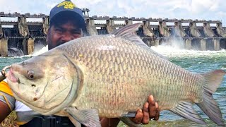 NO BAIT FISHING TECHNIQUES Traditional hand Fishing Video  Rainwater running water Fishing [upl. by Niraj]