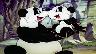 Nasce um Filhote de Panda  25 Horas de Episódios Antigos  PicaPau em Português [upl. by Notsnorb]