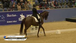 Melissa Galloway NZL 0 Windermere JObei W  winner of the CDI 3 Equestrian NSW GP Freestyle [upl. by Dihaz109]