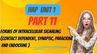 Forms of intracellular signaling contact dependent paracrine synaptic amp endocrine Part 11 [upl. by Starks]