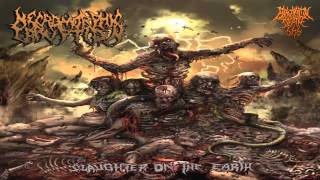 Necromorphic Irruption  Slaughter On The Earth 2013 FullAlbum [upl. by Ghassan730]