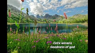 CeCe winansGoodness of god [upl. by Thagard]