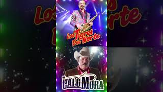 Los Tigres del Norte vs Lalo Morashorts los musica norteño [upl. by Eirised435]