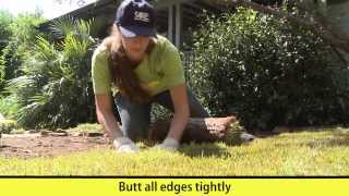 Howto Install Sod  Here are all the details [upl. by Assener]