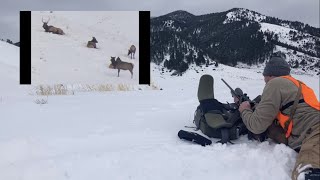 Late December elk hunting success [upl. by Kieger272]