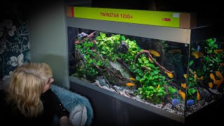 ATTRACTIVE AQUARIUM LIGHTING UPGRADES 4K [upl. by Noirred]