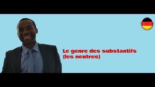 Cours dallemand de A1 B2 Le genre des substantifs les masculins [upl. by Ailemap]