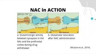 NAC N Acetylcysteine as Addiction Therapy [upl. by Leribag]