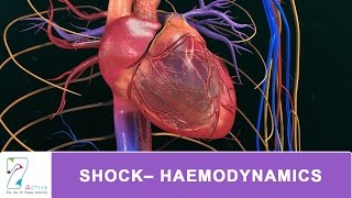 SHOCK– HAEMODYNAMICS [upl. by Alatea993]