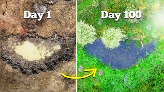 I Built a Wildlife Pond 6Month Transformation [upl. by Sidwohl]