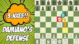 Damianos Defense Chess Opening Trap Sac A Knight On Move Three [upl. by Reinwald]