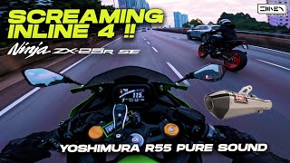 FINALLY THE BIKE SING LOUDLY Kawasaki ZX25R SE 2023 Pure Sound  Yoshimura R55  Malaysia 4K [upl. by Beffrey202]