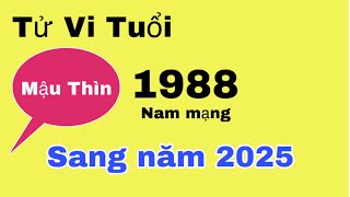 Tử vi tuổi Mậu Thìn 1988 nam mạng sang năm 2025 công việc  tiền bạc  gia đạo sẽ ra sao [upl. by Leugim]