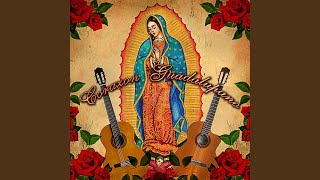 Las Apariciones Guadalupanas [upl. by Barbaraanne346]