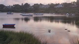 Mill Pond  Chatham MA  September 2024 [upl. by Ainolloppa152]