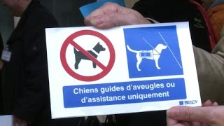 Un pictogramme pour favoriser laccès des chiens guides [upl. by Alil]