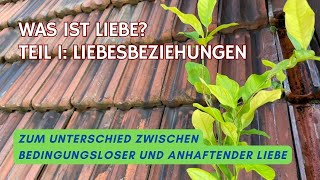 Was ist Liebe  Teil 1 Liebesbeziehungen [upl. by Aketahs922]