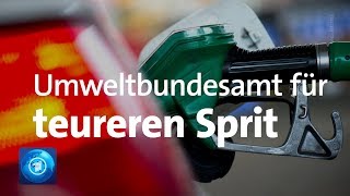 Umweltbundesamt für höhere Spritpreise [upl. by Devaj514]