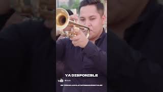 Mi Apellido Es Sanchez  Alex Goz💿 musica corridos viral trending banda [upl. by Cyrano731]