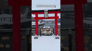 7 Things to Do amp Eat in Hakodate Hokkaido Japan🇯🇵 [upl. by Eadnus725]