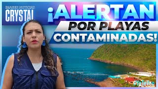 Cofepris alerta por playas contaminadas en Veracruz  Noticias con Crystal Mendivil [upl. by Luci936]