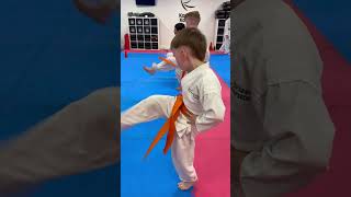 Kanzen Belt Test  inspiring to see all ages and grades this weekend karate martialarts [upl. by Yart]