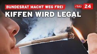 Bundesrat macht Weg für CannabisTeillegalisierung frei [upl. by Mort591]