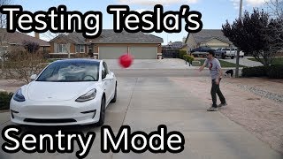 Does Teslas Sentry Mode Work [upl. by Gil]