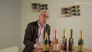 Les Crémant de Bourgogne vus par Edouard Cassanet [upl. by Venezia]