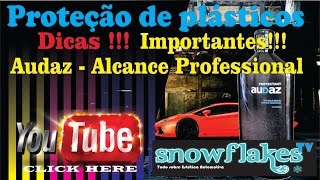 Audaz da Alcance  Proteção dos plásticos internos  SnowFlakes [upl. by Onaicram]