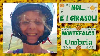 MONTEFALCO UMBRIA NOI E I GIRASOLI  PAOLA COLLURA [upl. by Chip]